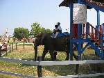 Renaissance Festival 014.jpg