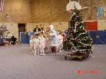 DSC00365.JPG